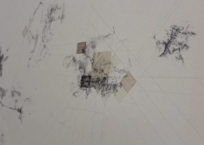 Even Deeper (detail) 3.pencil and rosemary developer on unbleached card 112cm x 81cm (2025)