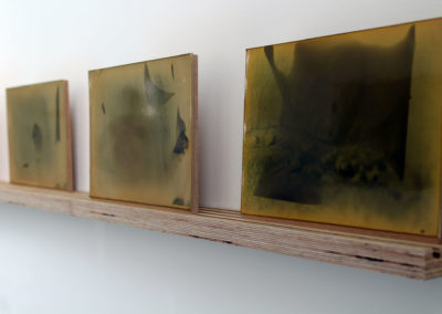 Installation - Indeterminate Emergence: detail