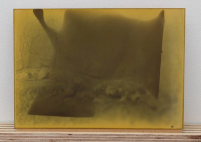 Installation - Indeterminate Emergence: detail