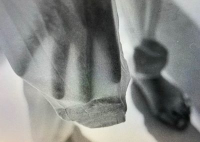 Hazmat Rock Suit Hand (2025), silver gelatine print 25.5cm x 20.5cm