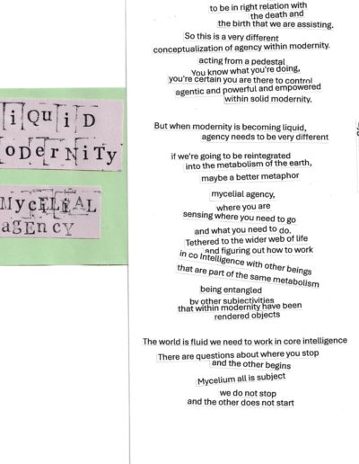 Vanessa Andredotti 2