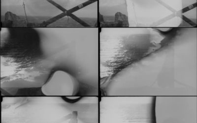 Rock Ecologies – Exhibition at SVA, Stroud