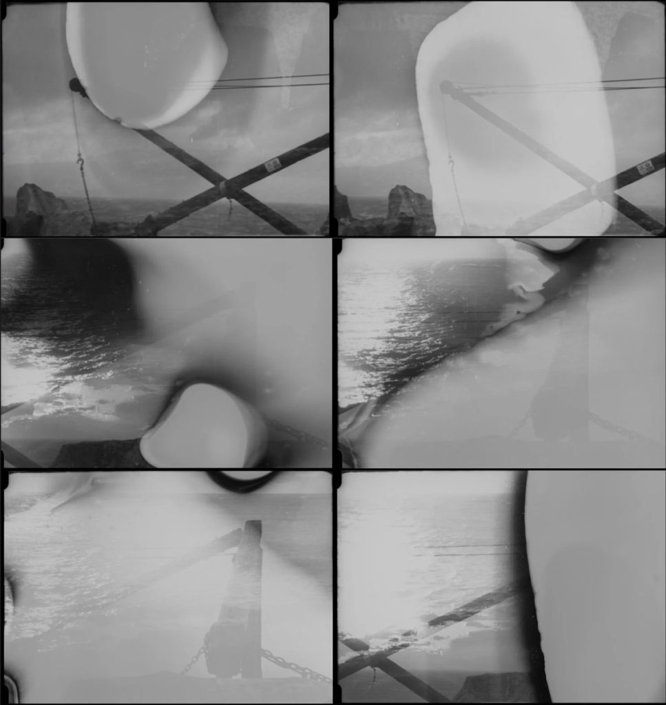 Rock Ecologies - image